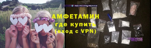 гидра Арсеньев