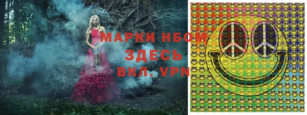 гидра Арсеньев