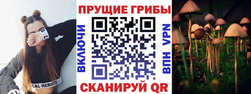blacksprut зеркало  Артёмовск  Псилоцибиновые грибы MAGIC MUSHROOMS  хочу  